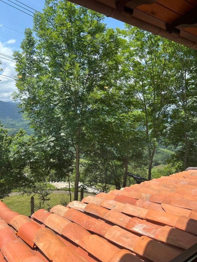 Apartamentos La Cabana Del Cerro Alto Becena Luaran gambar
